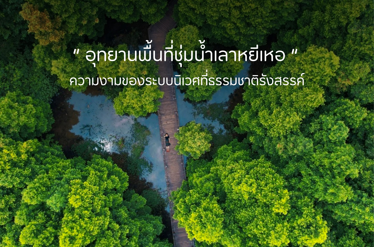อุทยานพื้นที่ชุ่มน้ำเลาหยีเหอ ดินแดนแห่งความสงบที่ธรรมชาติรังสรรค์