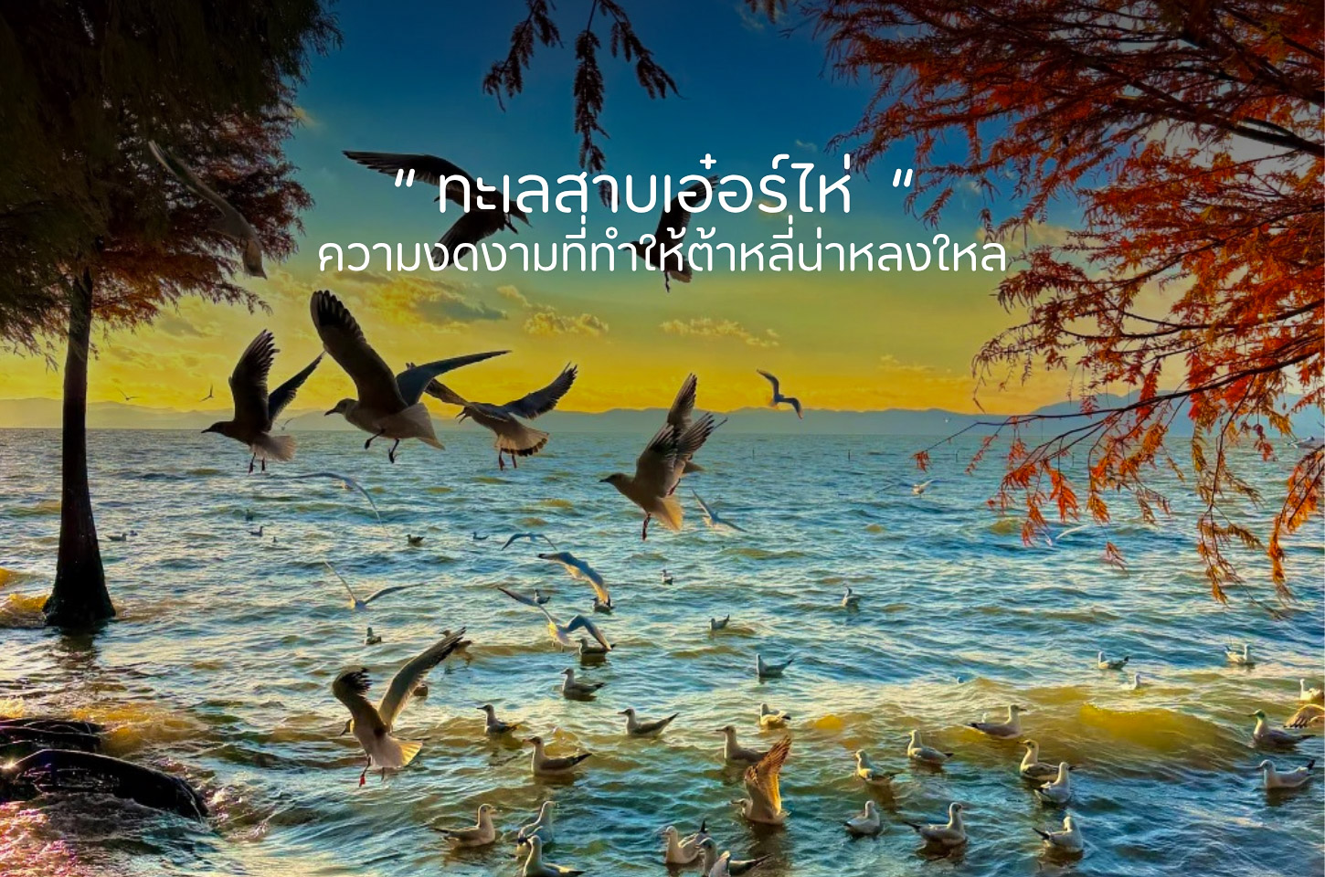 ทะเลสาบเอ๋อร์ไห่ มหาสมุทรแห่งขุนเขา ความงดงามที่โอบกอดเมืองต้าหลี่