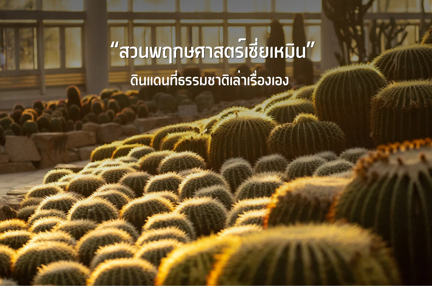 ป่าเทพนิยายแห่งเซี่ยเหมิน ความเขียวที่เหมือนหลุดออกมาจากความฝัน