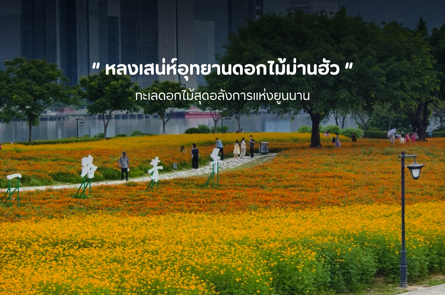อุทยานดอกไม้ม่านฮัว ดินแดนแห่งทะเลดอกไม้ที่แต่งแต้มยูนนานให้มีชีวิตชีวา