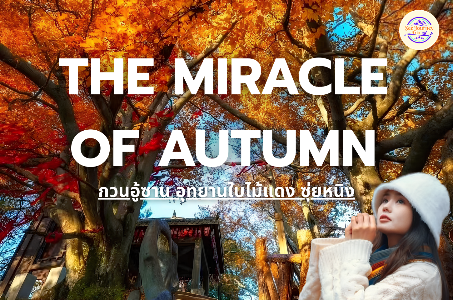 The Miracle of Autumn กวงอู้ซาน อุทยานใบไม้แดง ซุ่ยหนิง