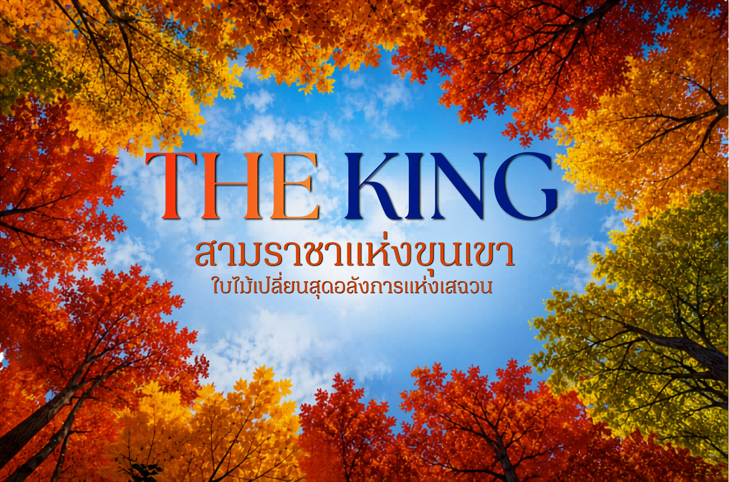 สามราชาแห่งขุนเขา ใบไม้เปลี่ยนสุดอลังการแห่งเฉฉวน