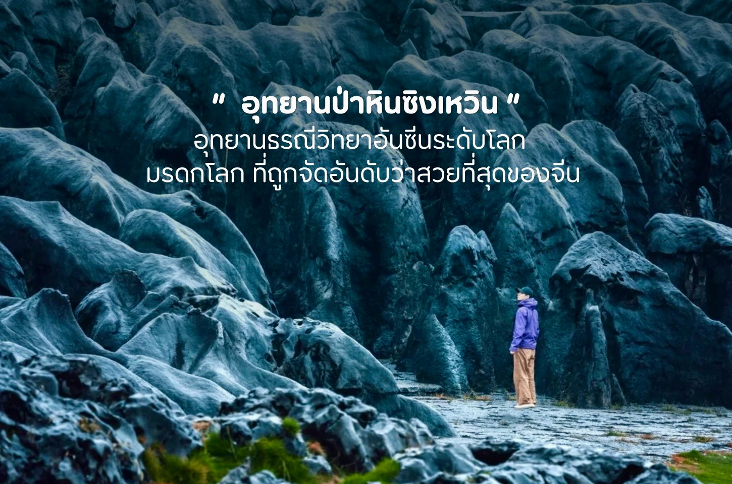 เปิดโลกป่าหินซิงเหวิน มหัศจรรย์ธรรมชาติแห่งเสฉวน