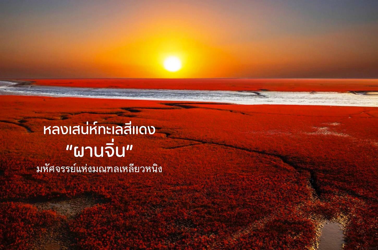 หาดหญ้าสีแดงผานจิ่น มหัศจรรย์สีแดงแห่งฤดูใบไม้ร่วง