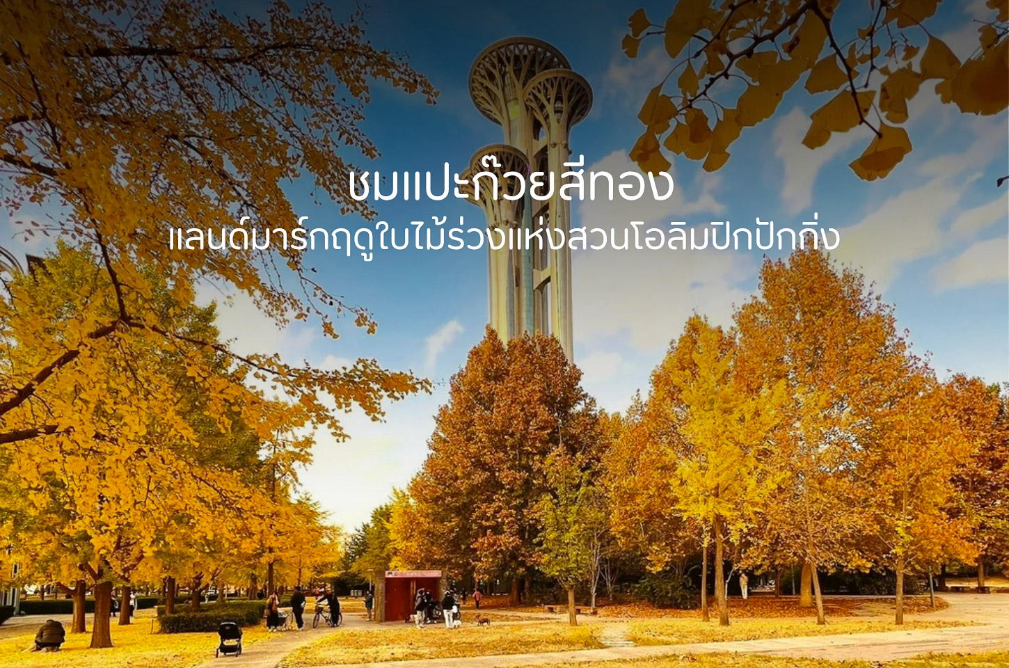 ฤดูทองแห่งปักกิ่ง ชมแปะก๊วยสุดโรแมนติกที่สวนโอลิมปิก