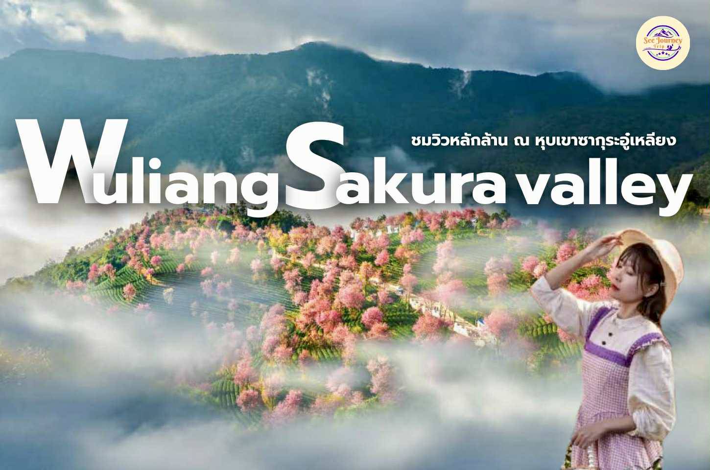 Wuliang Sakura Valley ชมวิวหลักล้าน ณ หุบเขาซากุระอู๋เหลียง