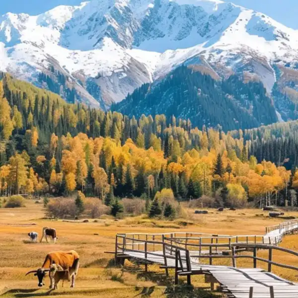 ซินเจียง